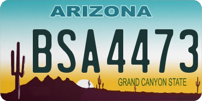 AZ license plate BSA4473