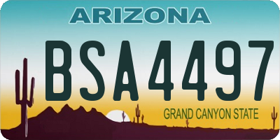 AZ license plate BSA4497