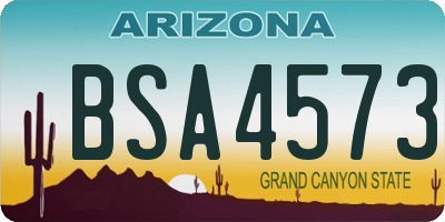 AZ license plate BSA4573