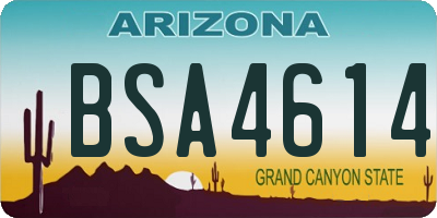 AZ license plate BSA4614