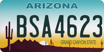AZ license plate BSA4623