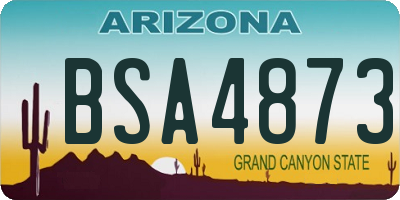 AZ license plate BSA4873