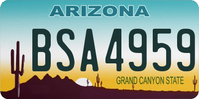 AZ license plate BSA4959