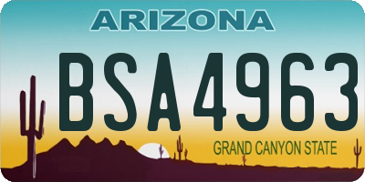 AZ license plate BSA4963