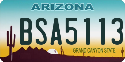 AZ license plate BSA5113