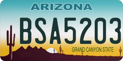 AZ license plate BSA5203