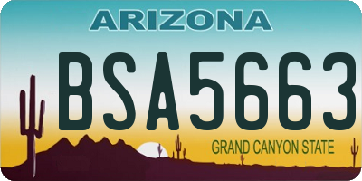 AZ license plate BSA5663