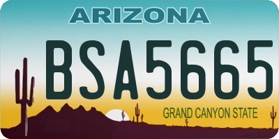 AZ license plate BSA5665