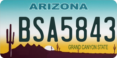AZ license plate BSA5843