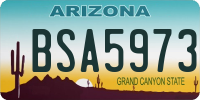 AZ license plate BSA5973