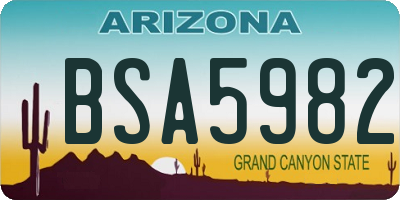 AZ license plate BSA5982