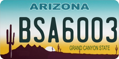 AZ license plate BSA6003