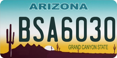 AZ license plate BSA6030