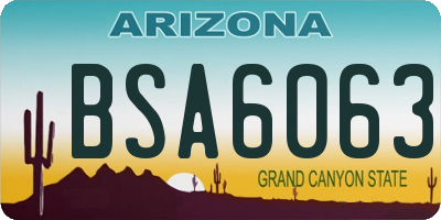 AZ license plate BSA6063