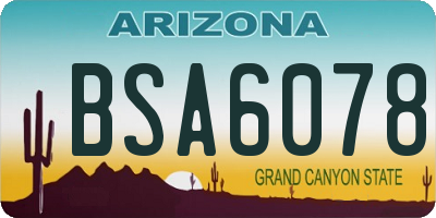 AZ license plate BSA6078