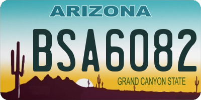 AZ license plate BSA6082