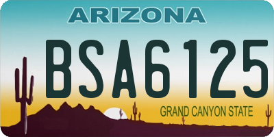 AZ license plate BSA6125