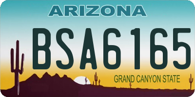 AZ license plate BSA6165