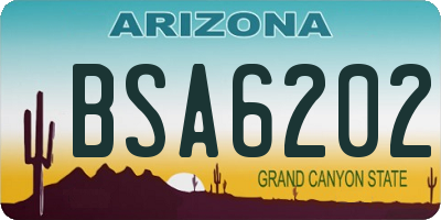 AZ license plate BSA6202