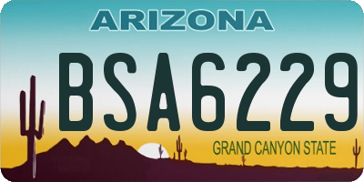 AZ license plate BSA6229