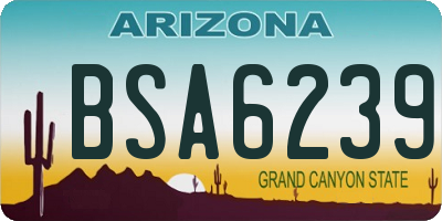 AZ license plate BSA6239