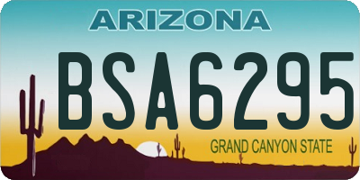 AZ license plate BSA6295