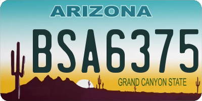 AZ license plate BSA6375