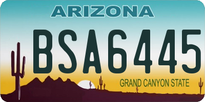 AZ license plate BSA6445