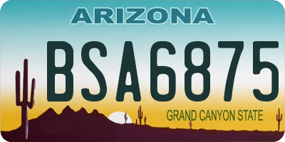 AZ license plate BSA6875