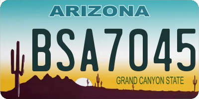 AZ license plate BSA7045