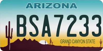 AZ license plate BSA7233