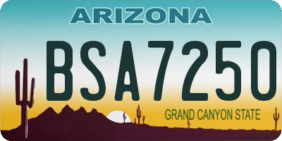 AZ license plate BSA7250