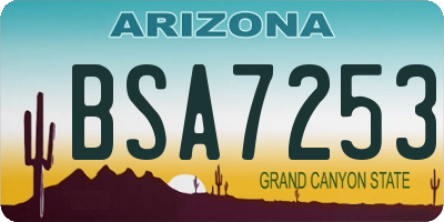 AZ license plate BSA7253