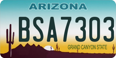 AZ license plate BSA7303