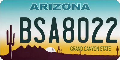 AZ license plate BSA8022