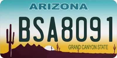 AZ license plate BSA8091