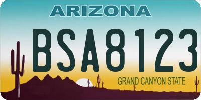 AZ license plate BSA8123