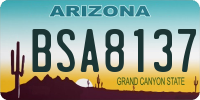 AZ license plate BSA8137