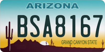 AZ license plate BSA8167