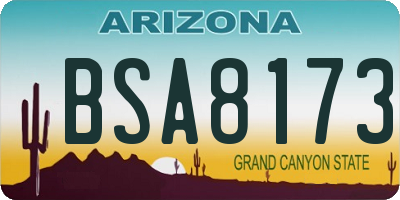 AZ license plate BSA8173