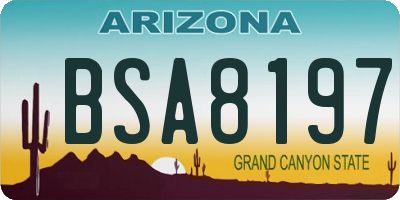 AZ license plate BSA8197