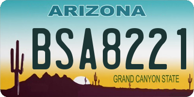 AZ license plate BSA8221