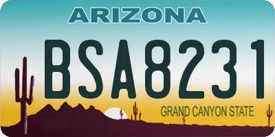 AZ license plate BSA8231