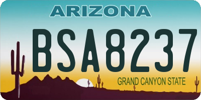 AZ license plate BSA8237