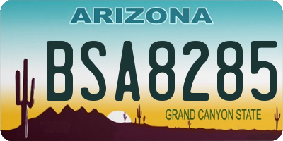 AZ license plate BSA8285