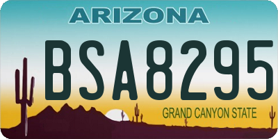 AZ license plate BSA8295