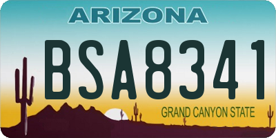 AZ license plate BSA8341