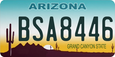 AZ license plate BSA8446