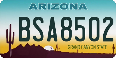 AZ license plate BSA8502