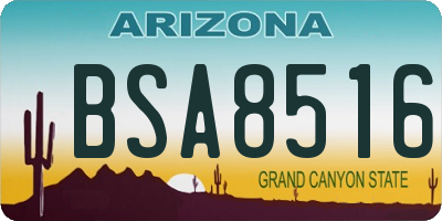 AZ license plate BSA8516